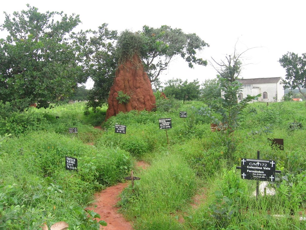 Cemetery, Bissau by Anos