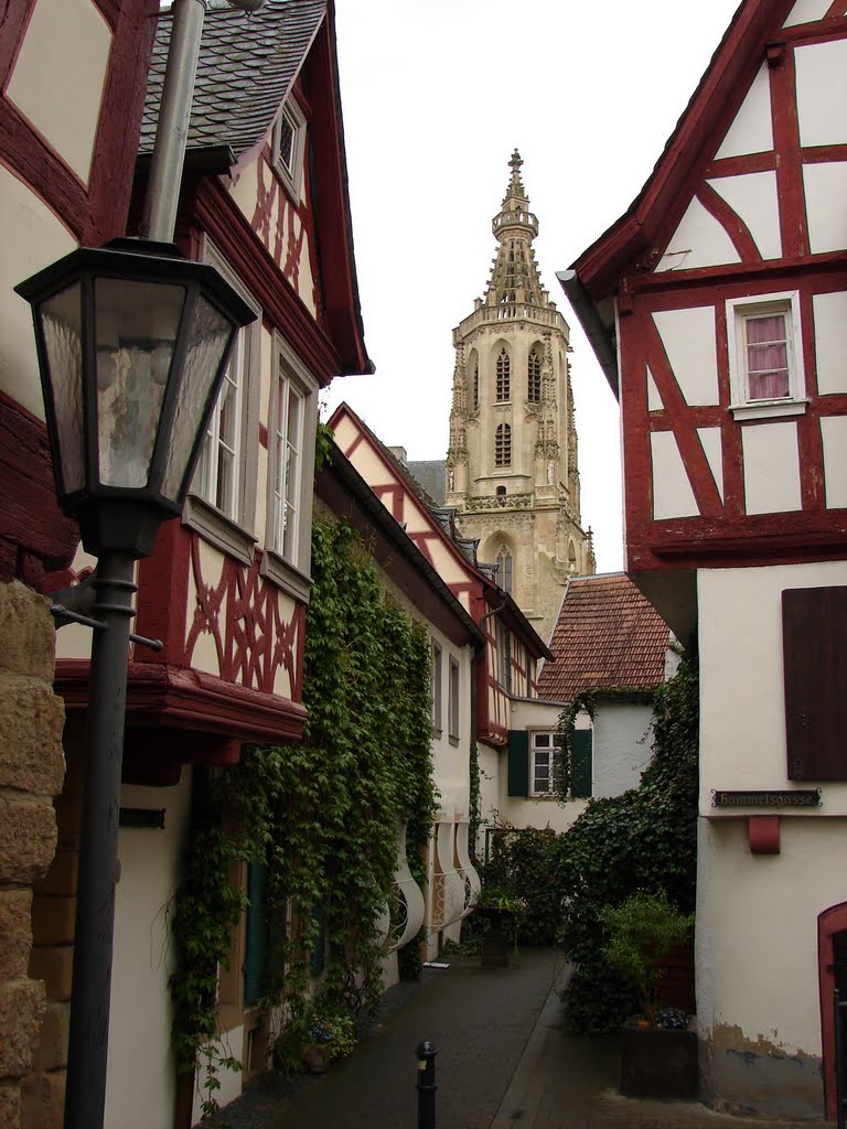 Blick zur Schlosskirche by harald helmlechner