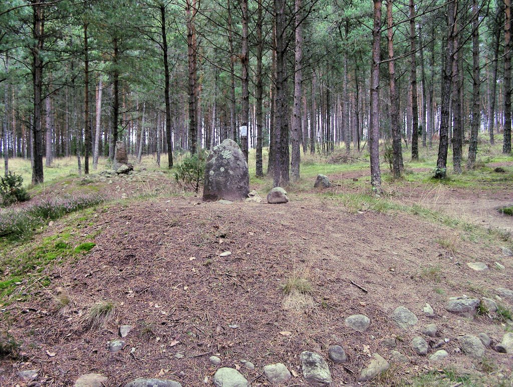 Polish Stonehenge by Anula Galus