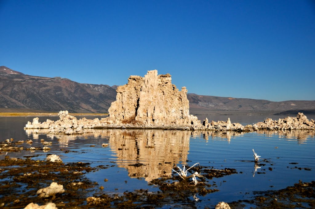 Mono Lake, California by Phaniwell