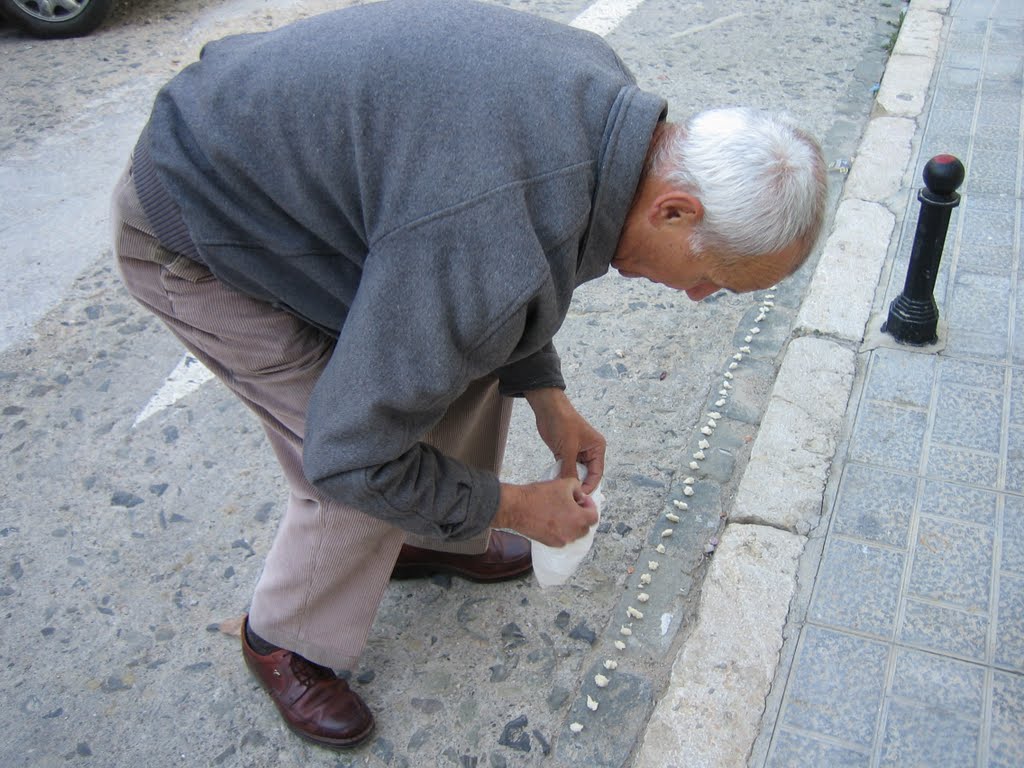 El Cani, comida para pájaros by antonjota