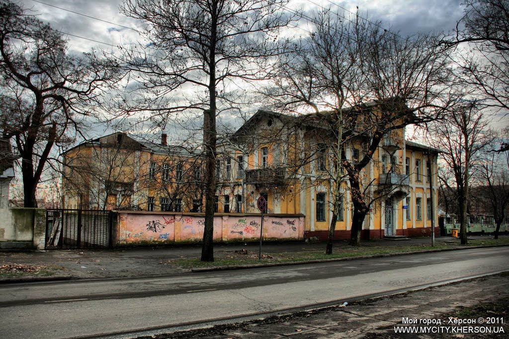 Дом А.П. Писарева, общественного деятеля, владельца экономии в селе Ольговка Херсонского уезда Херсонской губернии by Сухенко Константин