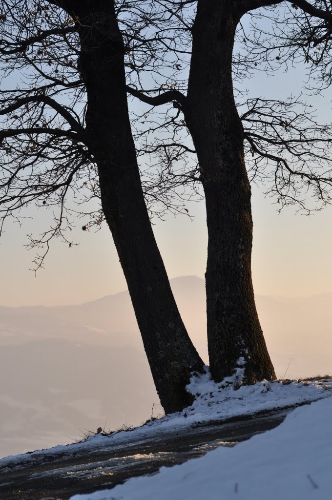 Gemelli, tra Pigazzano e Monticello by Marco Pezzati