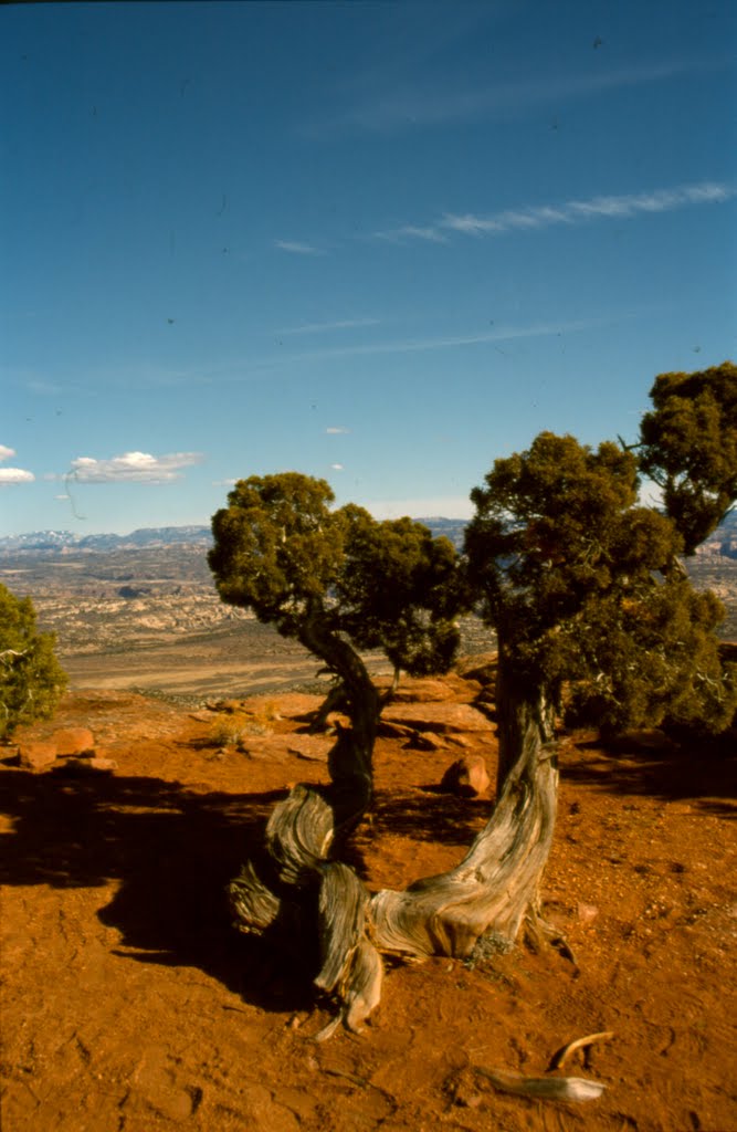 A View Over the Brush, April 2002 by Hobbes7714