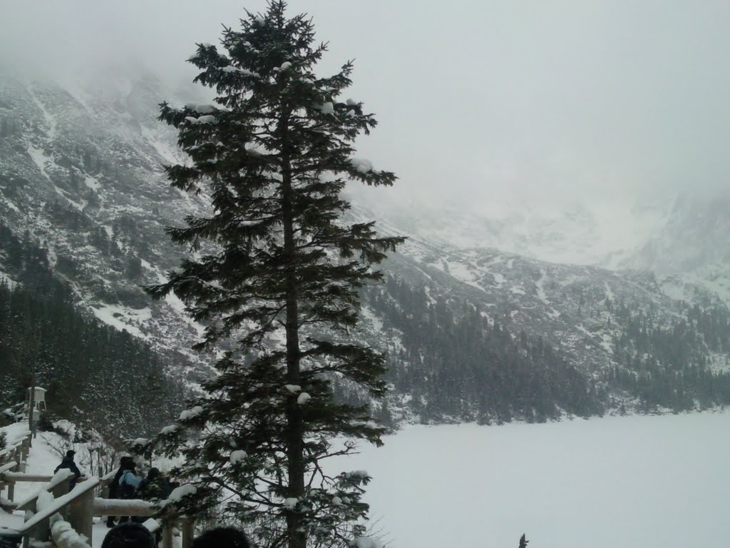 Morskie Oko by Zbigniew Wojszko