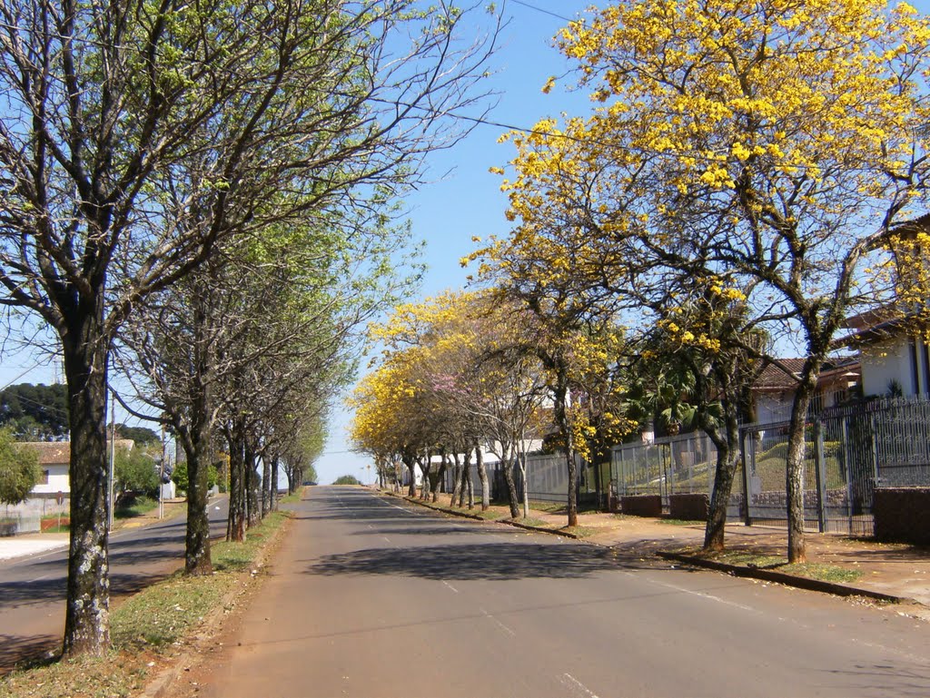 Ipiranga, Erechim - RS, Brazil by joão paulo bottan