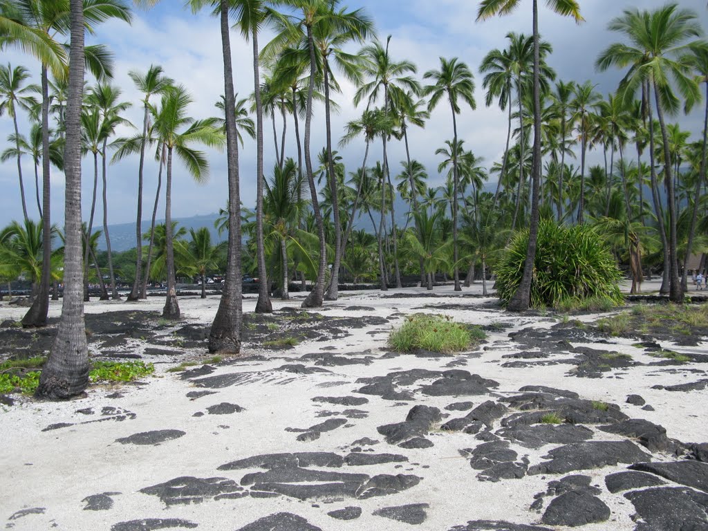 Place of Refuge, Honaunau, HI by Curt Bosket