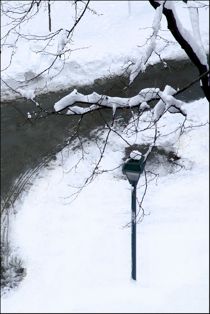 Snow in Stuyvesant Town - NYC - January 27, 2011 by LuciaM