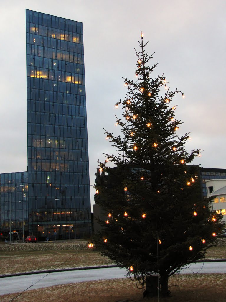 Christmas time, Reykjavík, Iceland (Ísland). by André Bonacin