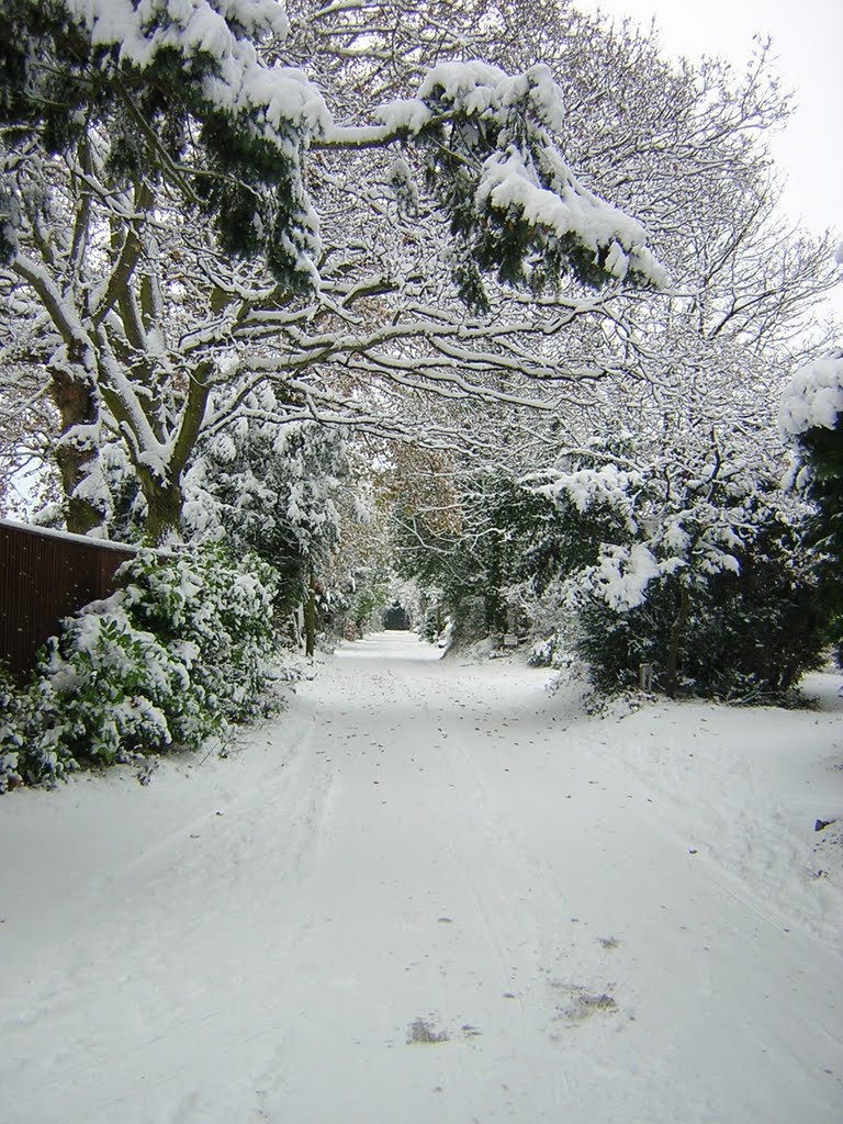 Snow Woodham and West Byfleet 18th Dec 2010 by rockingrabbit