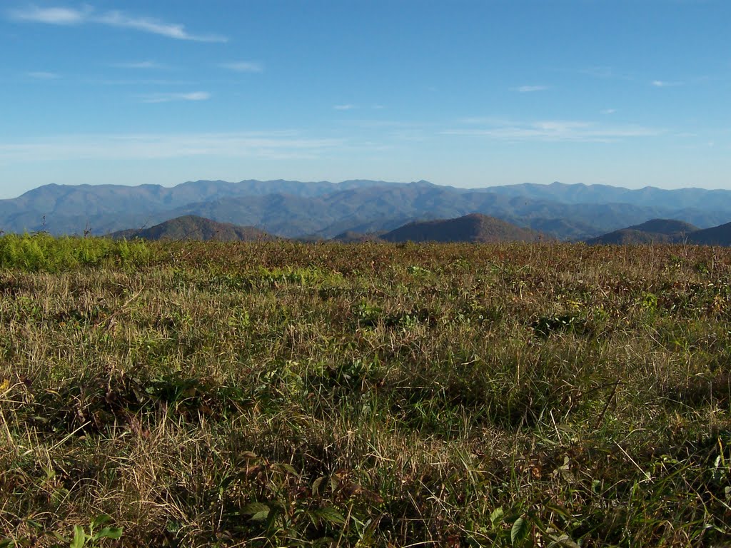 Black Mountains from Big Bald by dennyswaitress