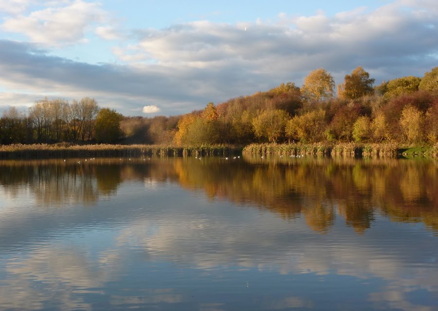 Lake at Carr Vale reserve by andrewh.246