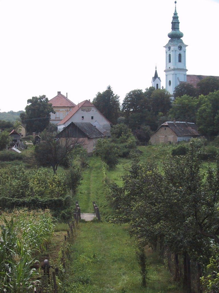 Village of teacher Zoltan, Nagy Szekely by mbulk