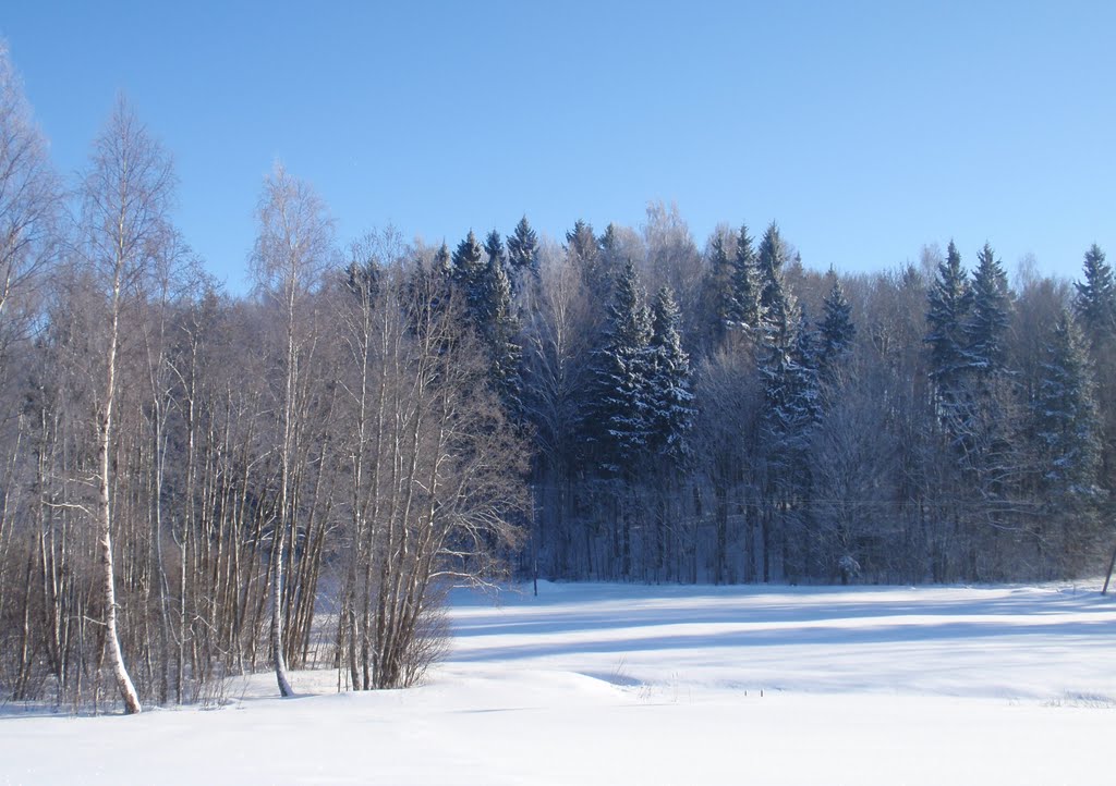 Vieštovėnų alkakalnis by Audrone