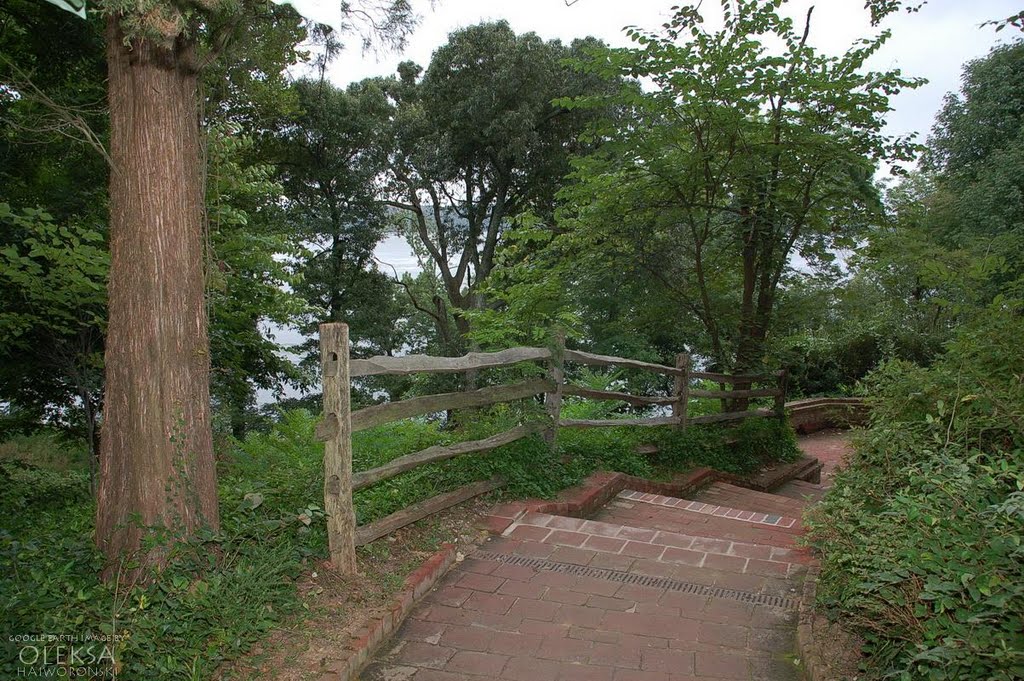 Path in the Mount Vernon Estate by Oleksa Haiworonski