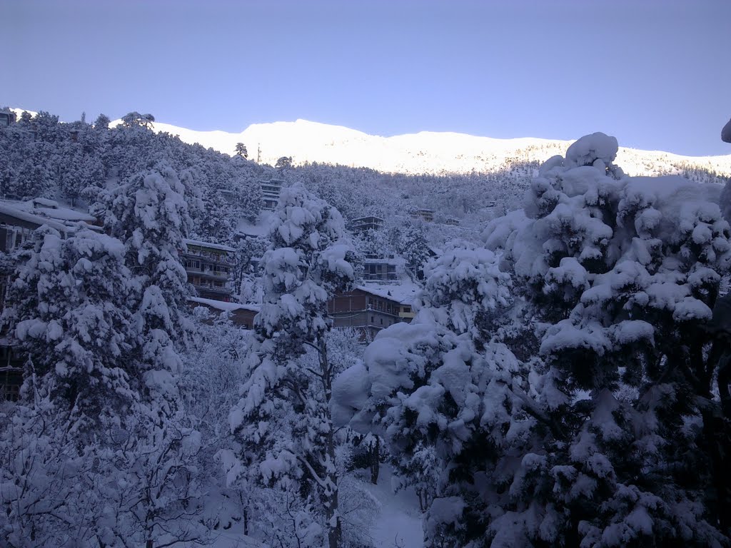 Snow Cover Kalpa Himachal India by Dorje Gyamba