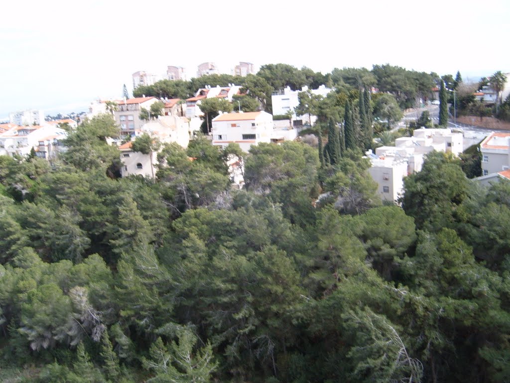 Israel,Haifa,Romema by Tanya Robova