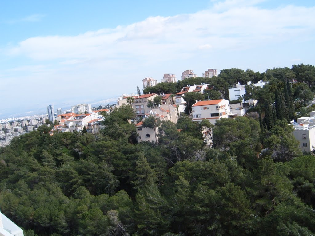 Israel,Haifa,Romema by Tanya Robova