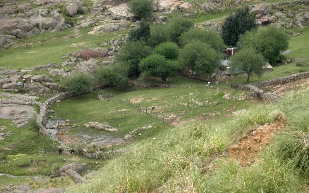 Corrales de pircas a 250 m al sudeste. by Andrómeda