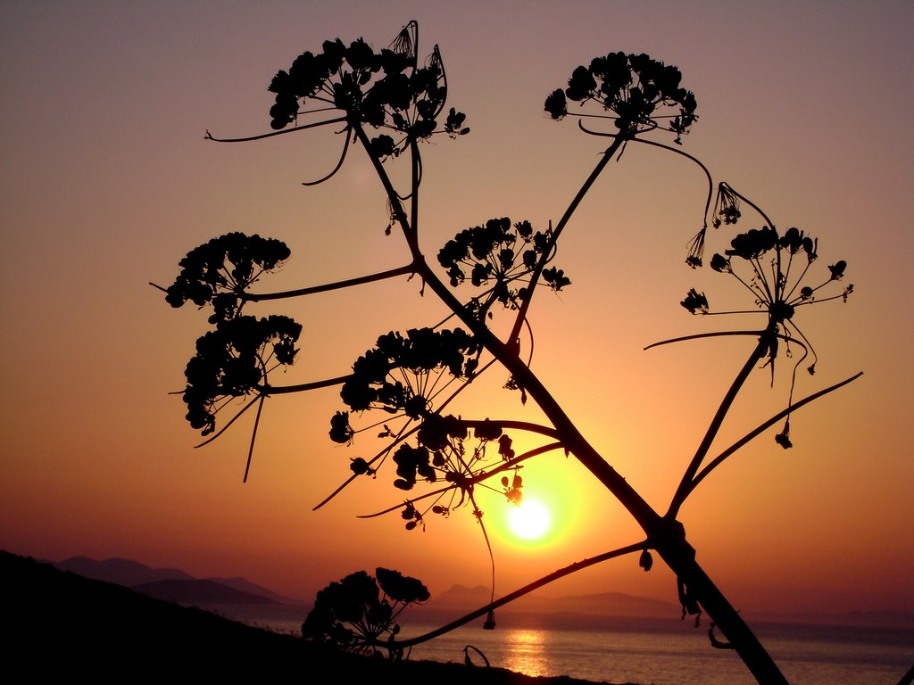 Türkiye Muğla Bodrum Gümüşlükten Günbatımı. Sunset... by TANJU KORAY UCAR