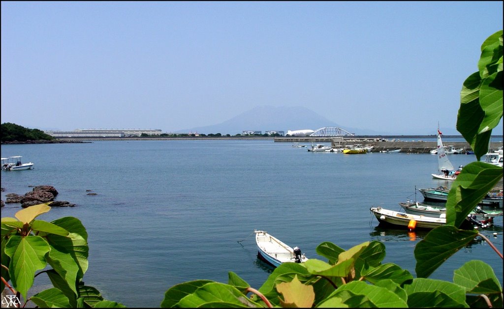 Hirakawa Yacht Harbor and Sakurajima volcano by ANDRE GARDELLA