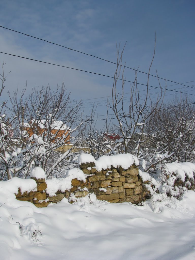 Kyivs'kyi District, Odessa, Odessa Oblast, Ukraine by Citrus-2007