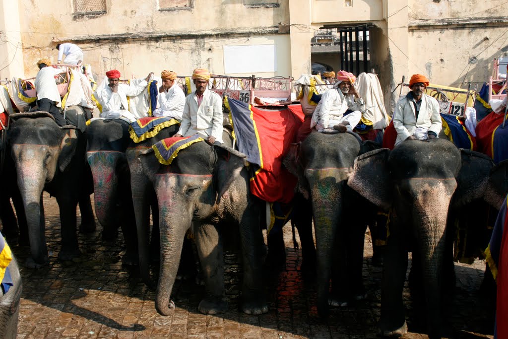 Amber fort, Jaipur, India. Winter 2011. by Amir H. Mahmoodi