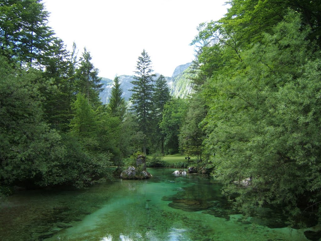 Inlet stream to Lake Bohinj by whereslora