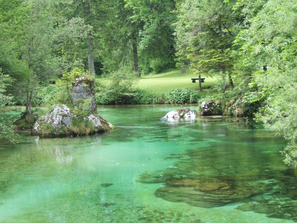 Inlet stream to Lake Bohinj by whereslora