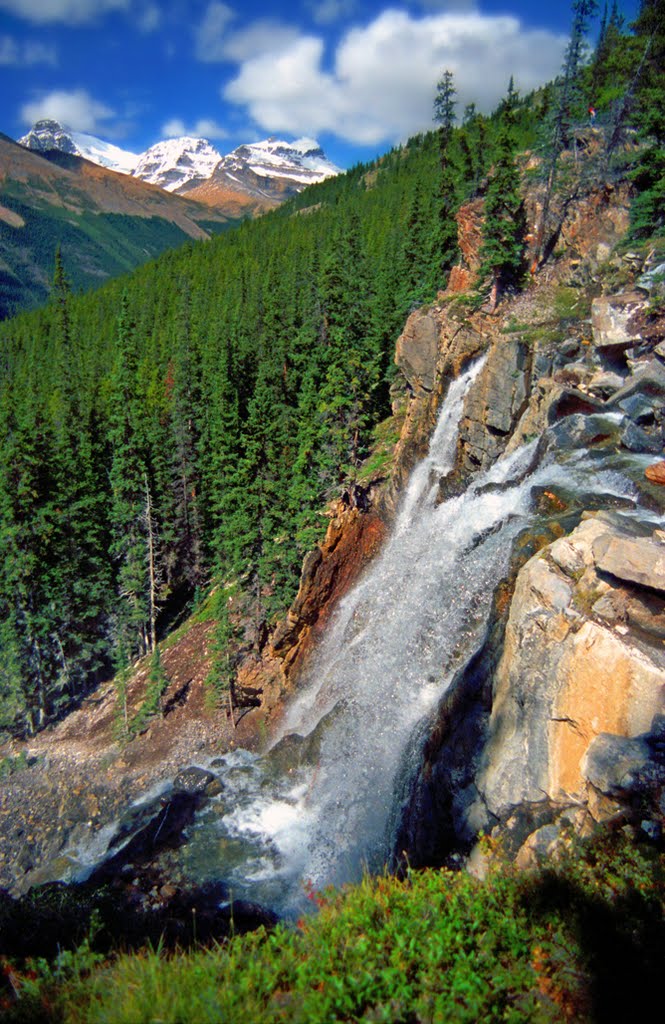 Tangle Creek Falls and the Winston Churchill Range by Steven H. O. Jones