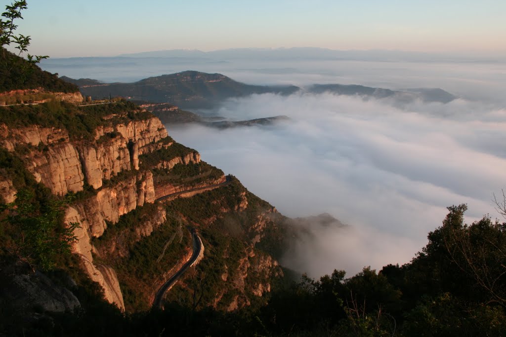 Niebla en el Vale by pharine