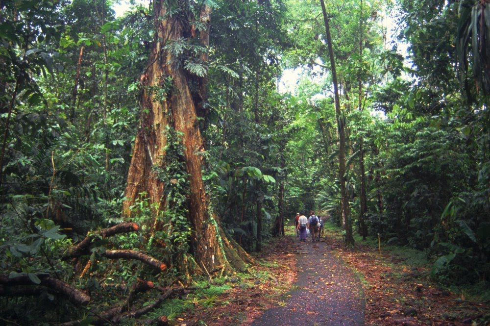 La Selva Biological Station by mablehome