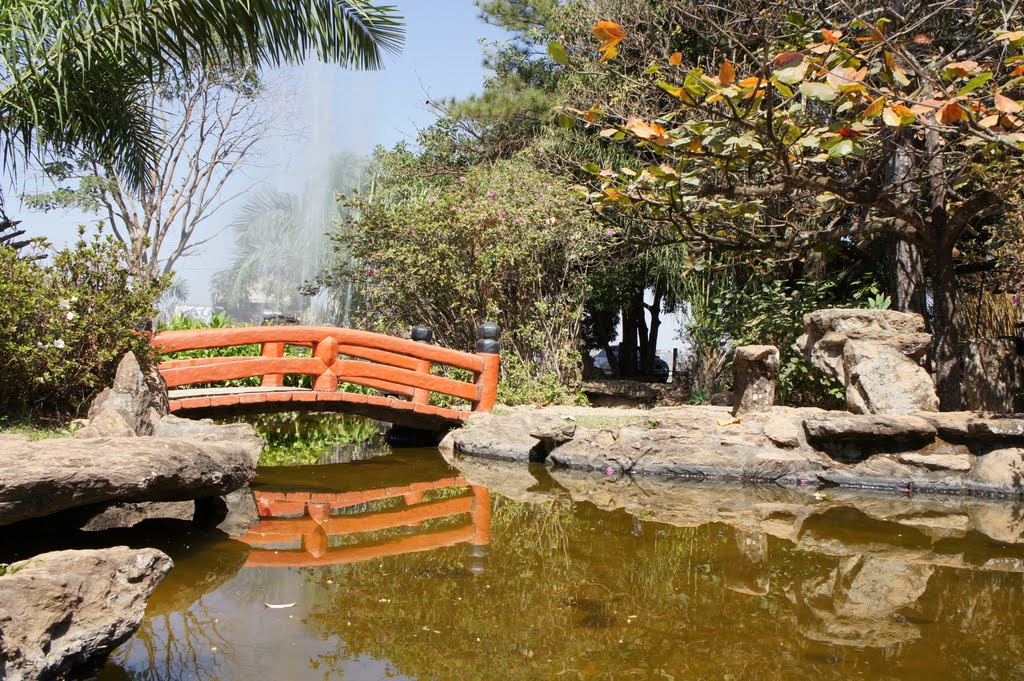 Ponte e lago no Jardim Japonês em Caldas Novas - Goiás - Brasil by Paulo Yuji Takarada