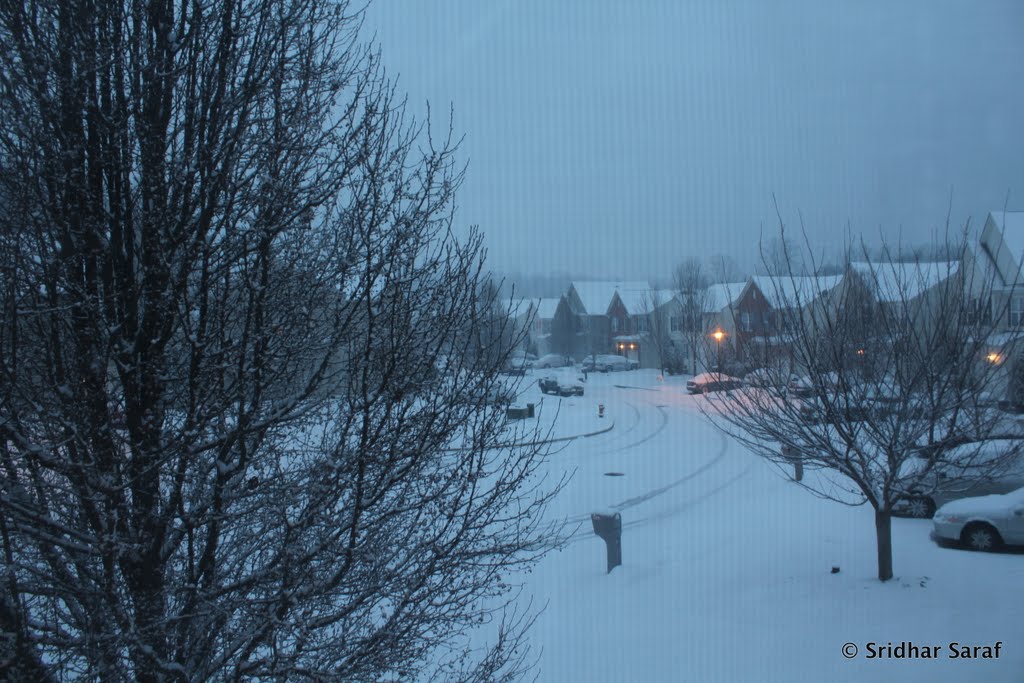 January Snow, Endora Court, Owings Mills, Maryland (USA) - 2011 by Sridhar Saraf