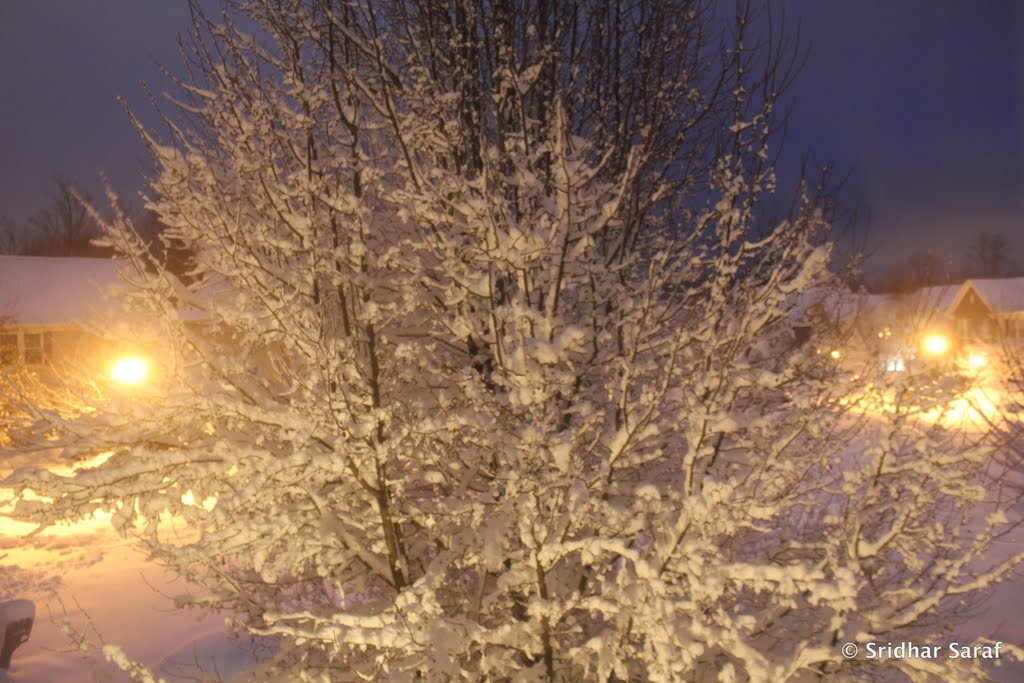 January Snow, Endora Court, Owings Mills, Maryland (USA) - 2011 by Sridhar Saraf