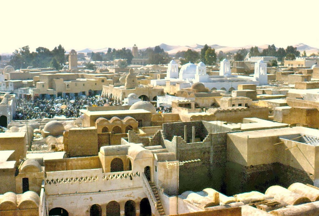 El Oued city of thousand cupola roofs by hpjm