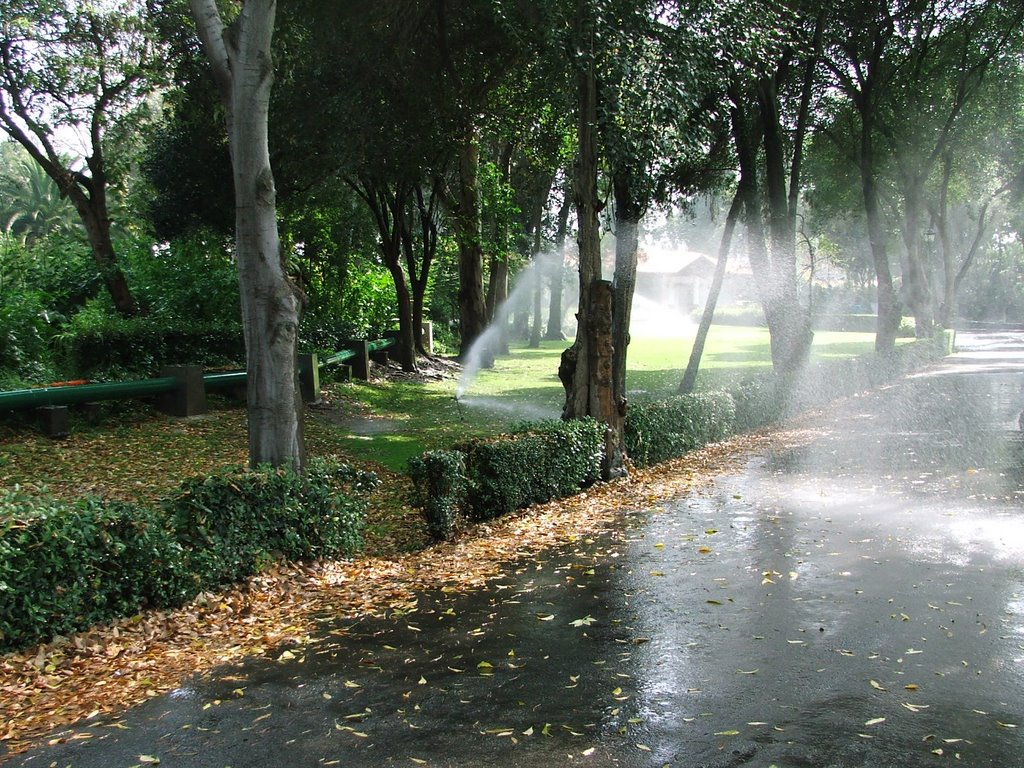 Jardin Botánico by Irak Perez.