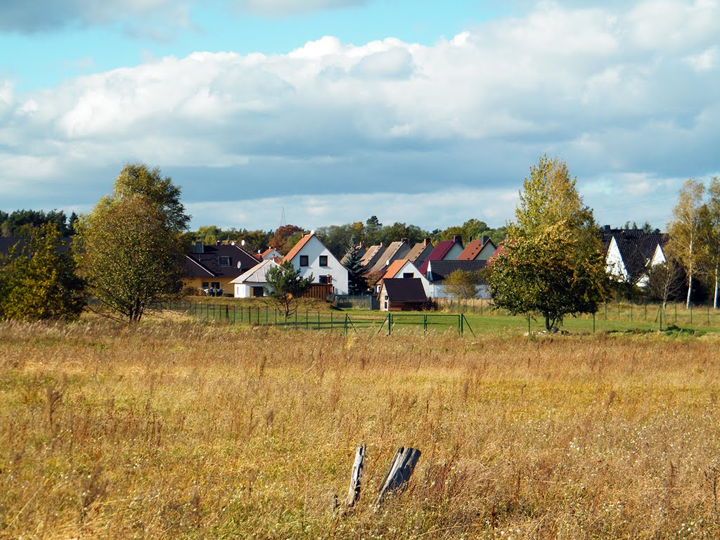 Herbst am Ortsrand von Altdöbern by Andreas Rusch