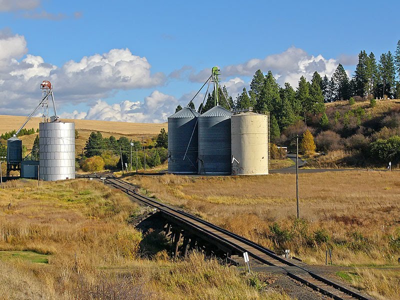 Siding at Albion, WA by jaysphotos