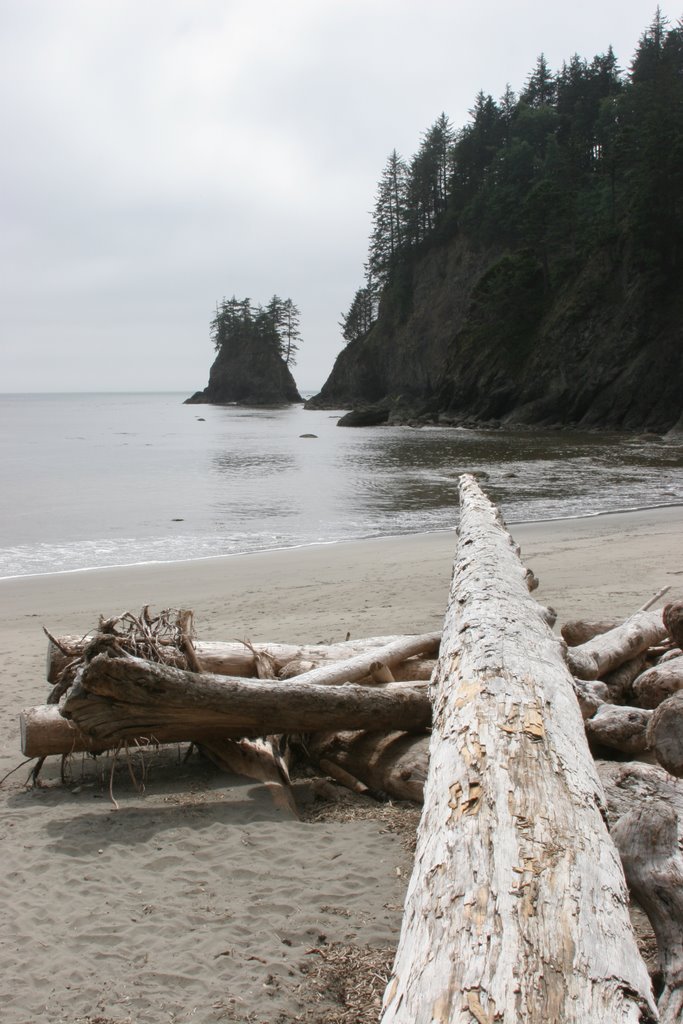 Beach Three's North End - Olympic NP by Alvaro Mesa