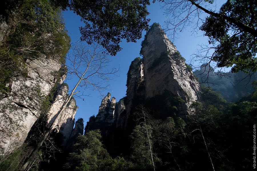 Cliffs view from Golden Whip Stream by Konstantin Hoshana