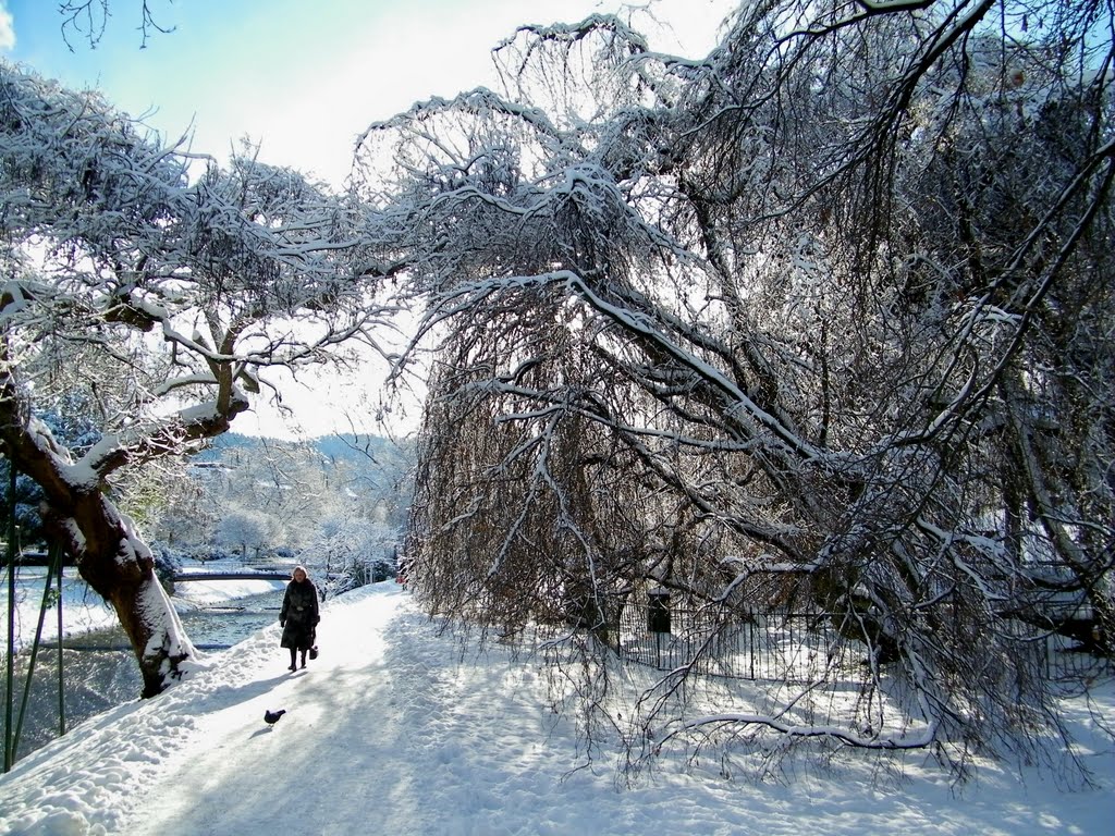 Baden-Baden Lichtentaler Allee by rogeda