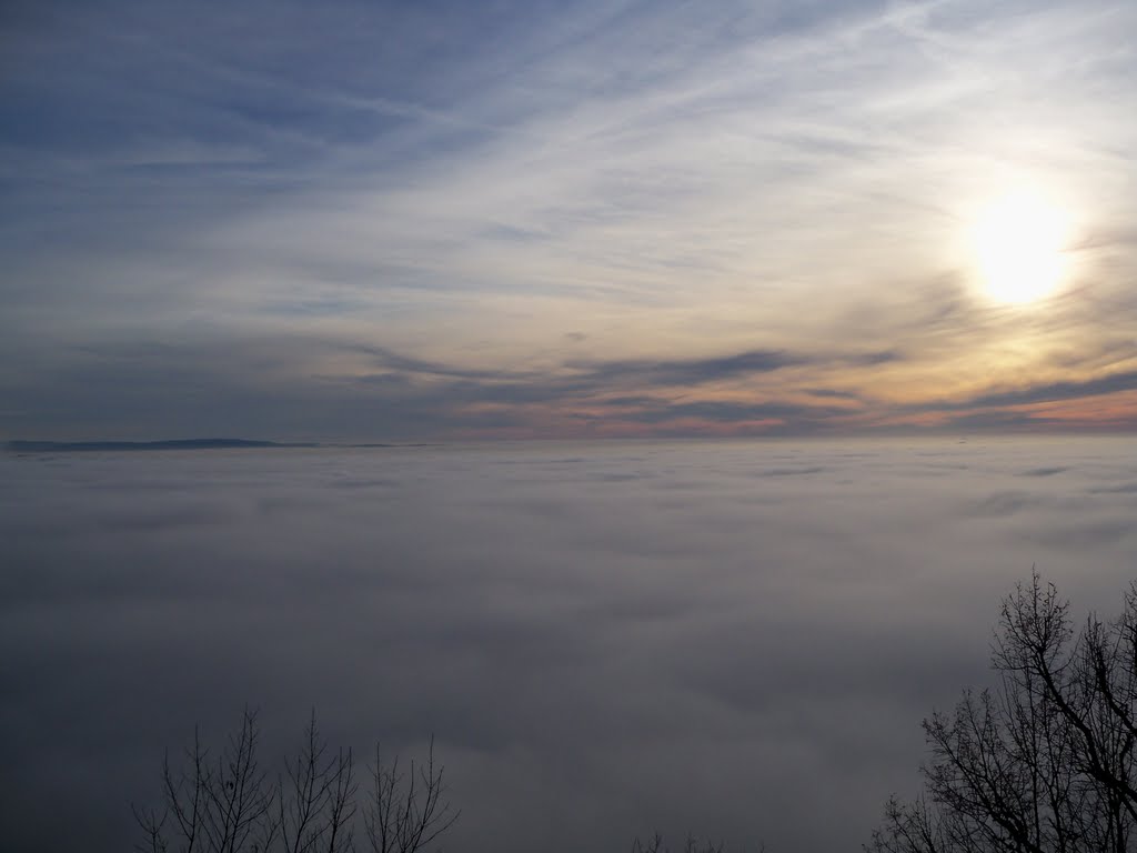 Nebbia sopra la città di Trieste - 2 by erik frieden