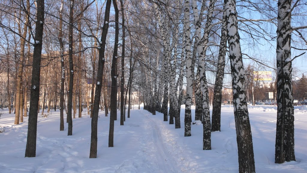 Ufa, Republic of Bashkortostan, Russia by Айрат Идрисов