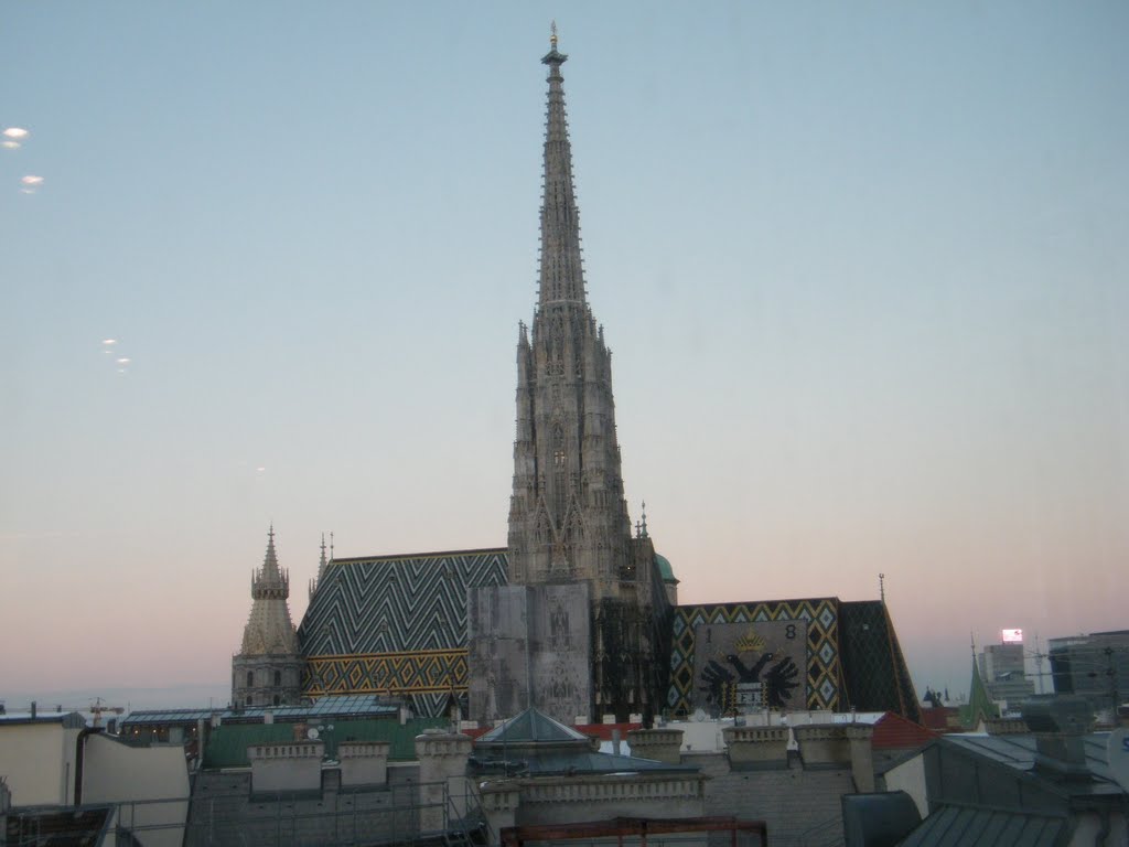 2011 STEPHANSDOM by (-: