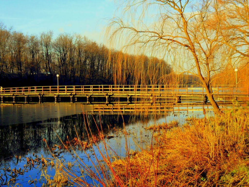 When the darling crossed the bridge... - Mikor a hídon átment a kedves... by Mata Hary