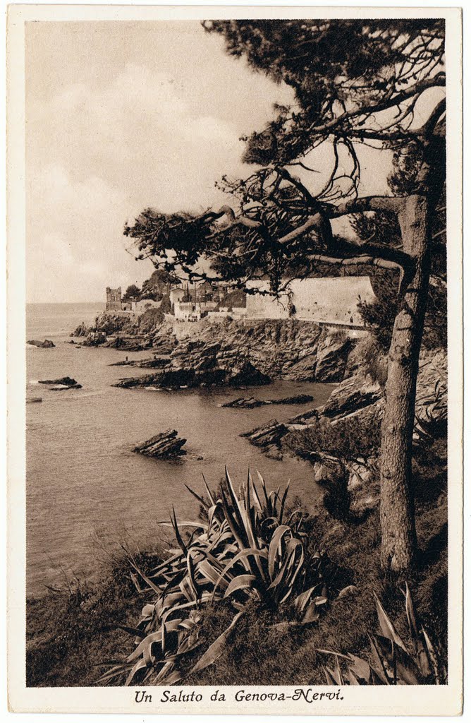 Nervi Passeggiata, vicino alla Torre Gropallo by Ecopas