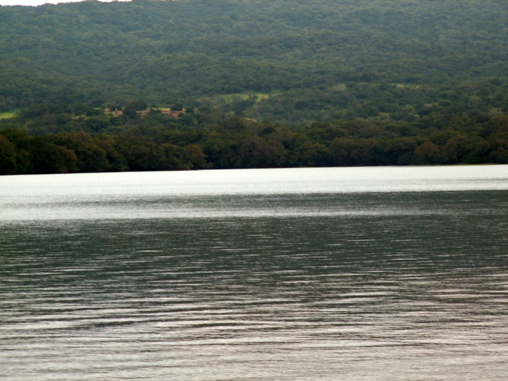 from East Shore of Kaas Lake, Satara, India by sagarkale