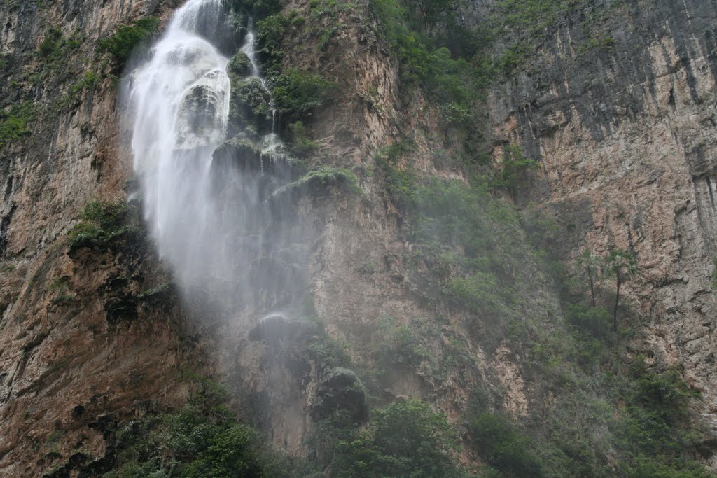 Canyon del Sumideiro V. Le "sapin de Noël" by Cort'