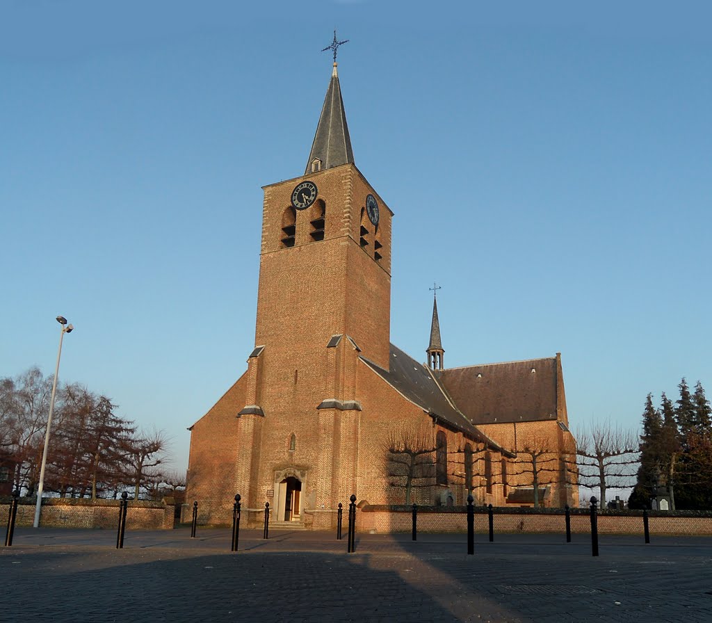 Oud-Turnhout, St Bavo Kerk by Alex Vandeweyer